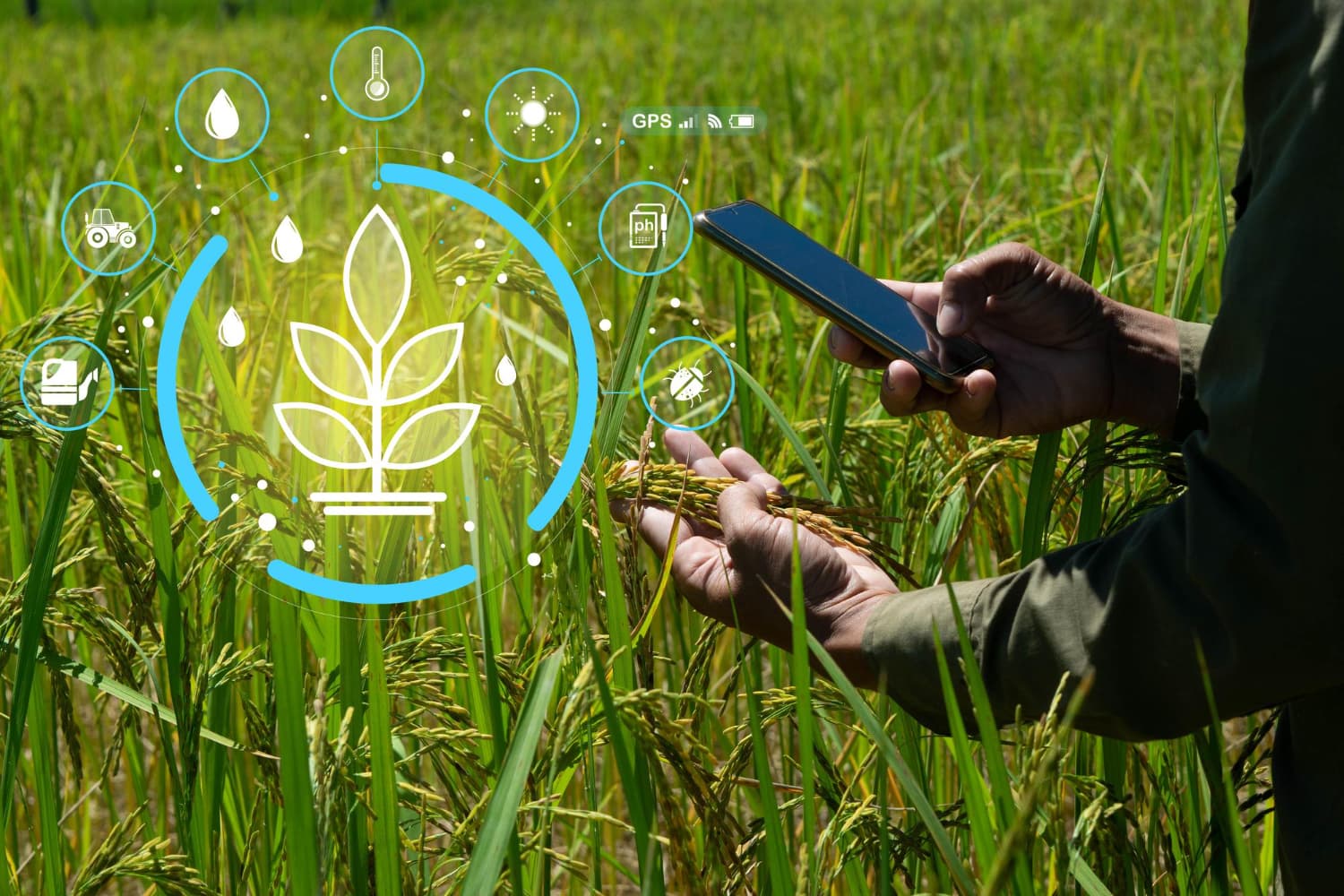 Building a Scalable and Resilient Azure Cloud Foundation for an Agri-Healthcare Benefits Provider